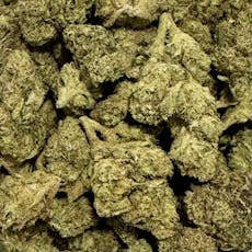 Orange Chai Deli Flower