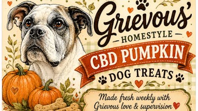 Pumpkin & Peanut Butter Dog Treat 10mg