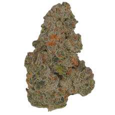 Cherry Gorilla