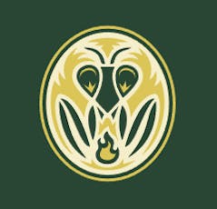 Pinnacle Valley - Sour Maui - Flower - 1/8oz