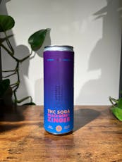 Blackberry Zinger Soda
