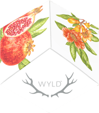 Pomegranate 1:1 THC:CBD 100mg