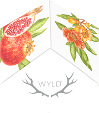 Pomegranate 1:1 THC:CBD 100mg