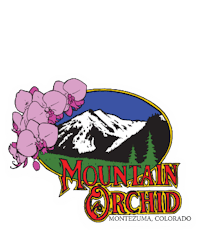 The Bazillionaire (I/H) By Mountain Orchid