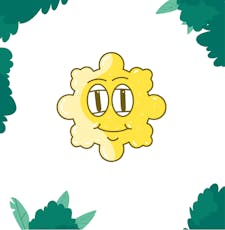 Sour Passion Fruit (10pk.) - 100mgTHC - Full Spectrum - Gummis