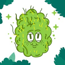 Hippie Crasher Smalls