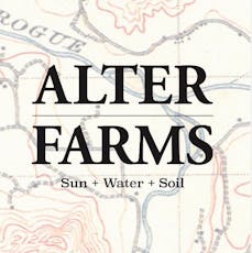 Pineapple Wine 1:1 CBD