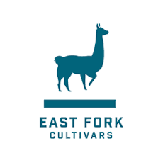 Balance: Pineapple JGR CBD Preroll Pack x7