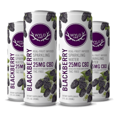Blackberry 50mg CBD Soda Water