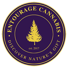 Tongue Splasher x GMO Pie 0.75g Infused Preroll