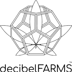 Basslines Duets: Indica x6 .5g Infused Prerolls
