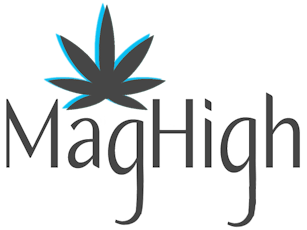 Georgia Pie - 2ct - 0.5g Preroll