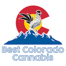 BCC Thin Hoodie (XL)