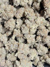 G63 7 Grams