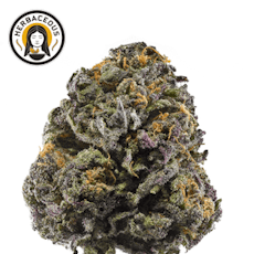 Flower - Sweet Tartz (H)