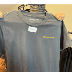 New Logo T-shirt (Variety)