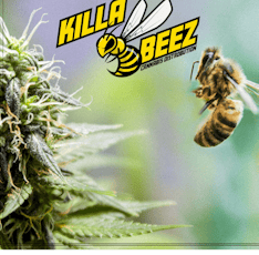 Killa Beez Preroll Pack 12ct. (Killa Beez)