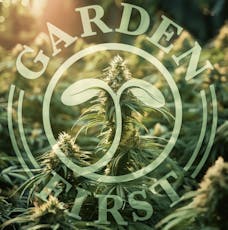 Punch Breath .5g Joint (Puff Jr.)