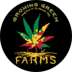 Dante's Inferno - 10 x 1g Preroll Pack (Growing Green Farms)
