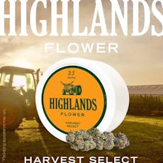 Ko Ko 3.5g (Highlands)