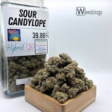 Sour Candylope (S-H)