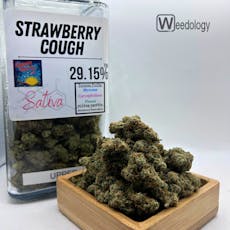 Strawberry Cough (S)