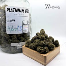 Platinum GSC (I-H)