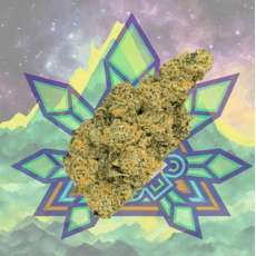 Emerald Visions | Loma Prieta | 3.5g