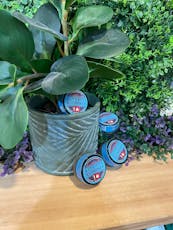 Altered Alchemy Kush Mintz CR