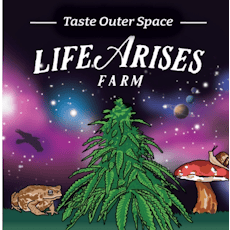 Life Arises - Soulfood - Farm Cut B-Bud Flower - 1/2oz