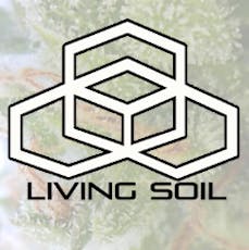 Bern Legacy - Candy Chem - Flower - 1/8oz