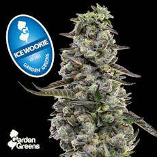 Ice Wookie I 3.5g I Garden Greens