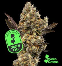 Triple OG I 3.5g I Garden Greens