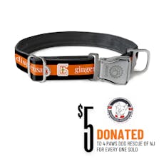 Dog Collar, Black/Orange, Medium