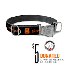 Dog Collar, Black, Medium