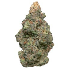 Deli Flower Gold - (MOGP) Modified Grapes