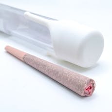 Nitro Lemon Haze 1g (S) Preroll Flower