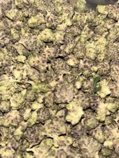 B Bud White Choc Chip #8 (Hotbox Farms)