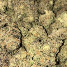 Collins Ave (Grown Rogue)