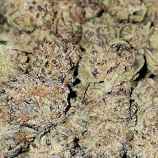 Breadwinner (Gud Gardens)