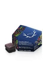 Wyld 10pc Elderberry CBN 2:1 Gummies - 100mg