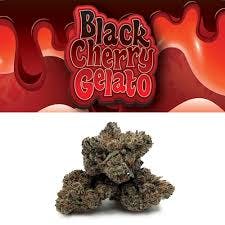 Black Cherry Gelato 3.5g (Cookies)