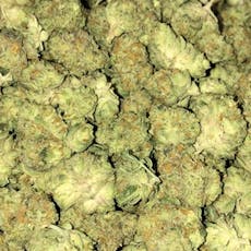 B Bud Space Mintz (Grown Rogue)