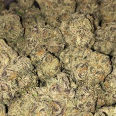 Amaretto Sour (Hotbox Farms)