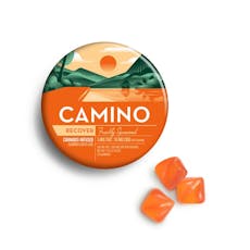 Camino | Gummy | 20pk | 100mg | 1:2 (THC : CBG) | RECOVER Freshly Squeezed
