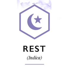 Timeless Forbidden Fruit Cartridge 1g INDICA