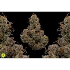 Purple Marmalade - Pre Roll