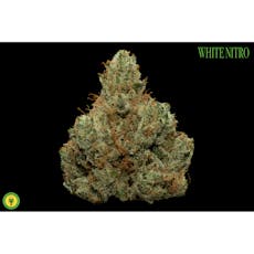 White Nitro