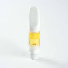 In House .5g 1:1 Cool Mint Disposable