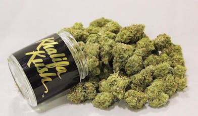 Khalifa Kush Khalifa Kush
